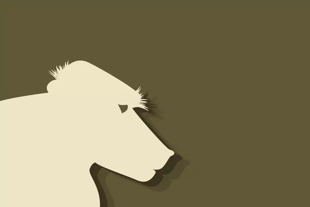 Китайски зодиак - Маймуна