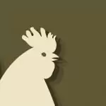 Китайски зодиак – Петел