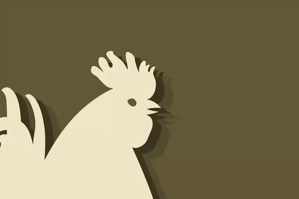 Китайски зодиак - Петел