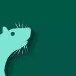 Китайски зодиак – Плъх