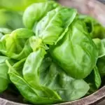 Босилека облекчава артрита