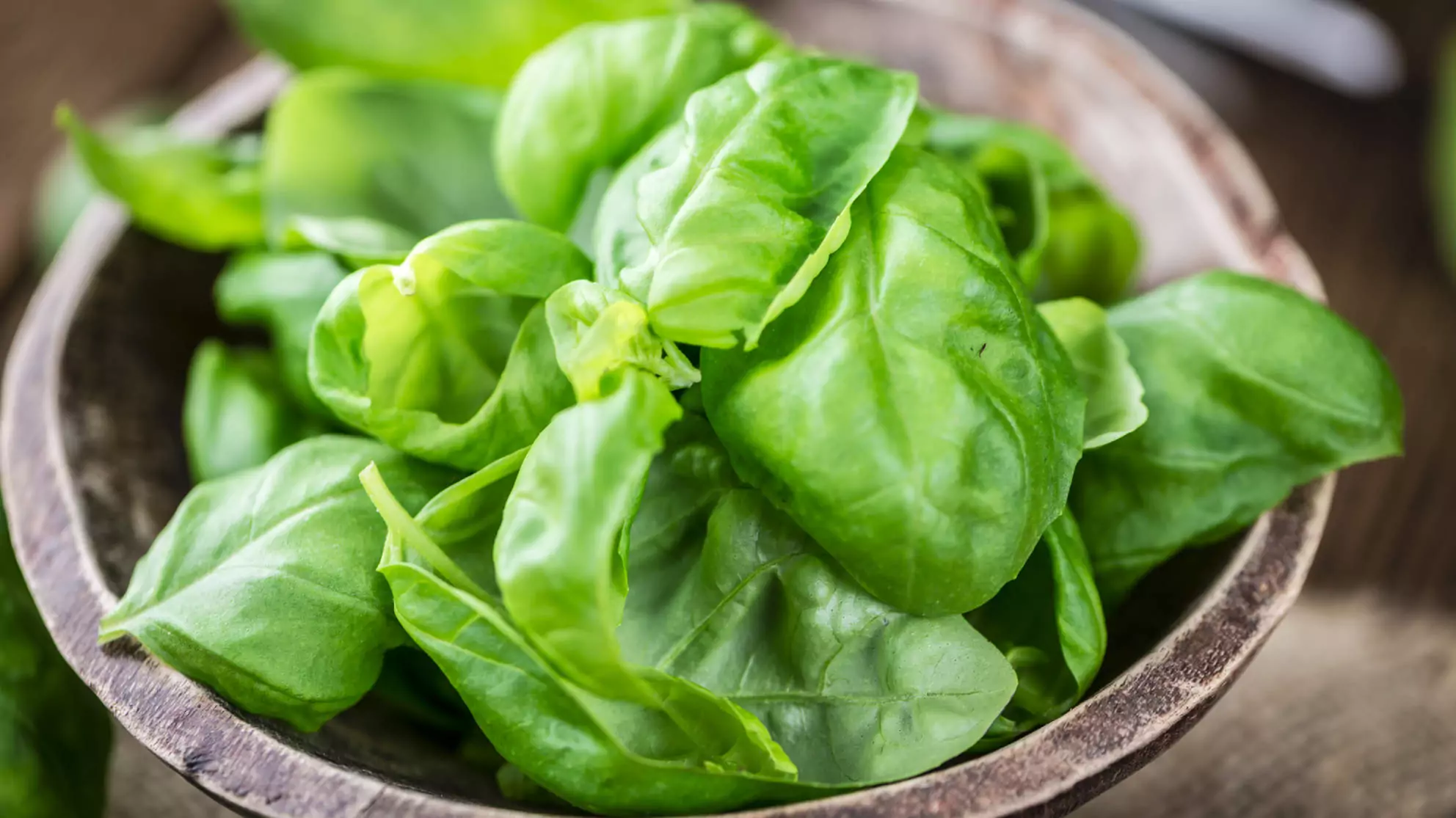 Листата на босилека