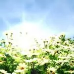 Поверия за 11 ноември