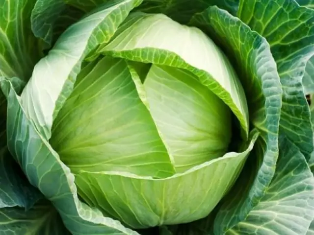 Зелено зеле