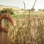 Поверия за късмет