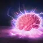 Интересни факти за мозъка