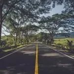 Пътя на живота