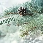 Астрологична прогноза за Декември месец