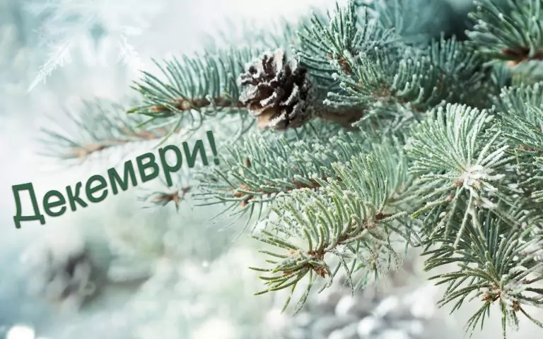 Тълкуване на сън за ДЕКЕМВРИ
