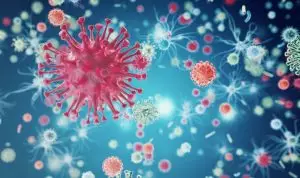 Видове паразити и техните ефекти върху имунната система