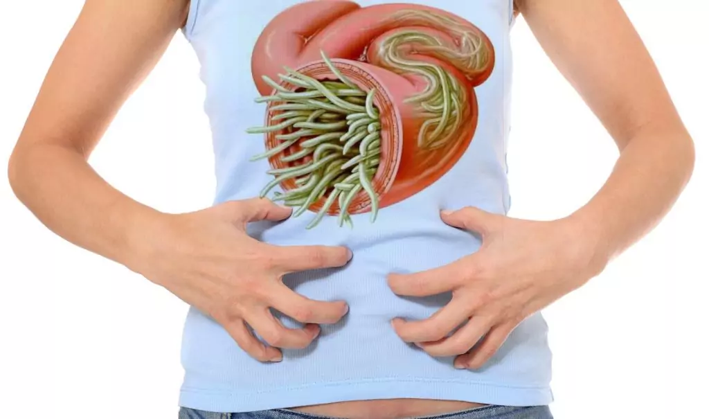 паразити в тялото паразити в тялото