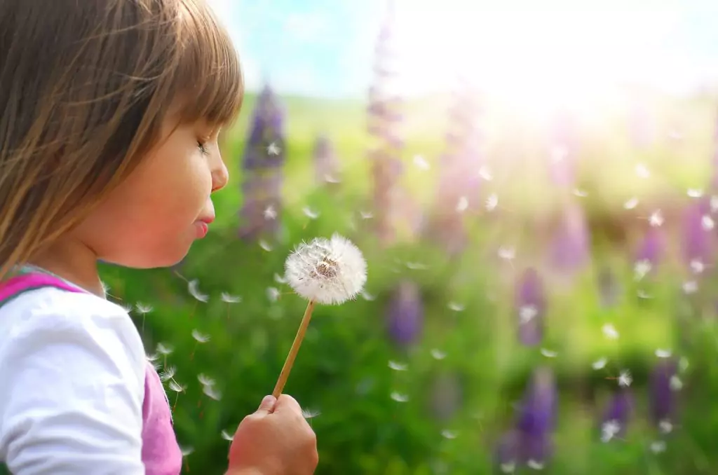 сбъдване на желания