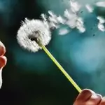 Силата на мисълта материализира желанията