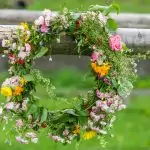 Билки за жени