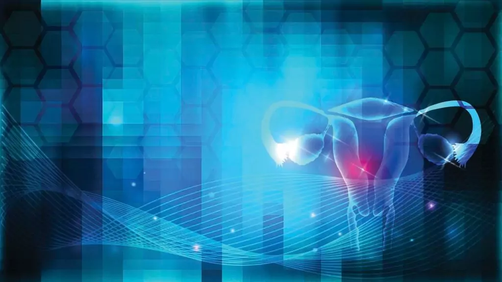 Как да се предпазите от вагинални инфекции Как да се предпазите от вагинални инфекции