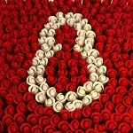 Международен ден на жената 08.03.2026