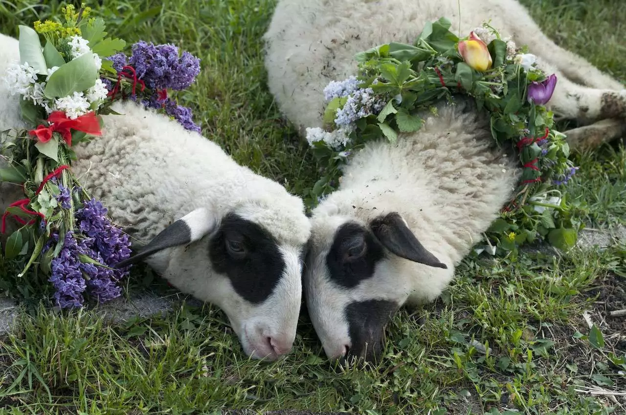 Поверия и ритуали на Гергьовден