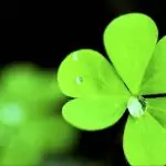 Кой е вашият печеливш ден?