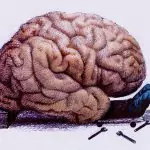 Навици които увреждат мозъка