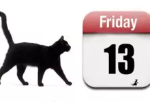 Малко известни факти за числото 13