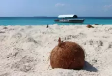 Ползи на кокосовото масло