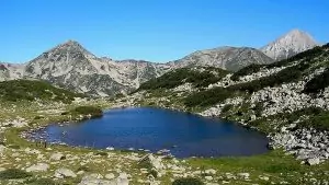извор в Добърско