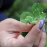 Магически тайни и поверия