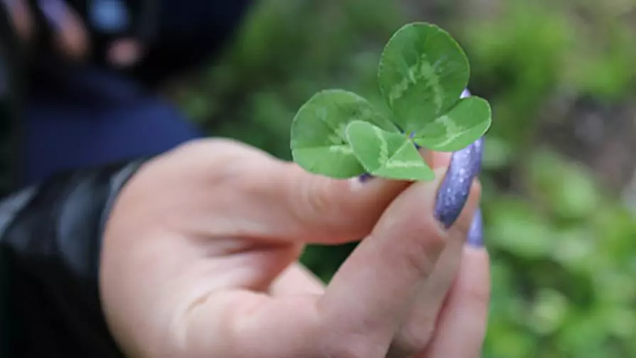против уроки