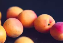 лекове с кайсии