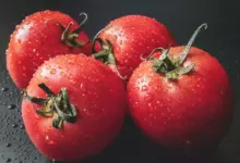рецепти и домати