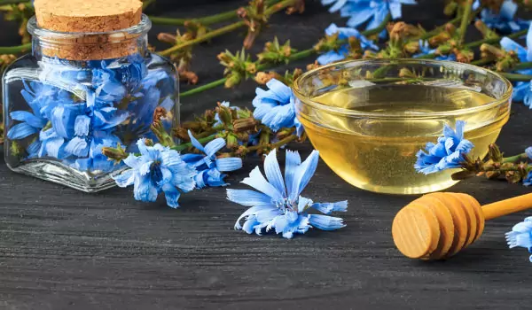 Цикория с мед при хранителни отравяния Цикория с мед при хранителни отравяния