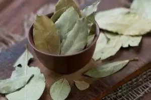 Лечебните свойства на дафиновият лист