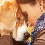 Как да изберем идеалната порода куче?