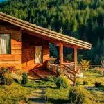 Как да унищожим гъбичките у дома