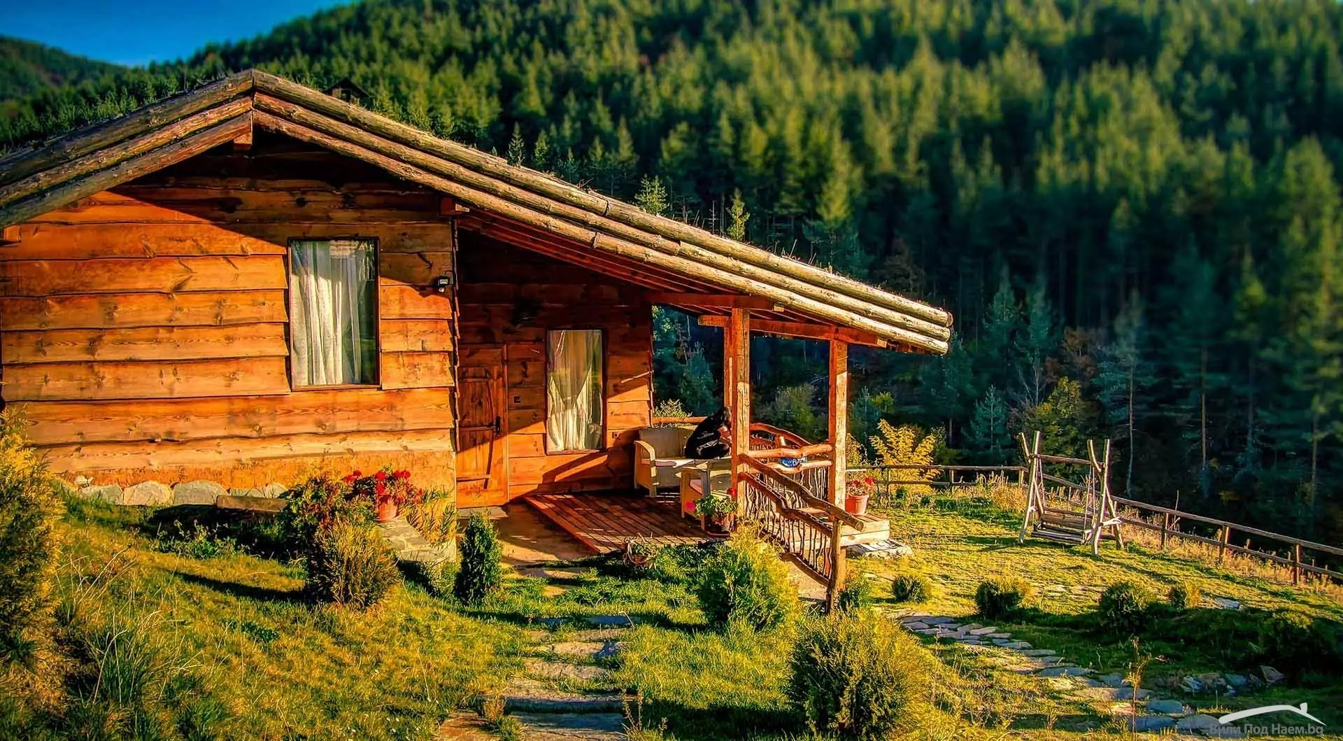 гъбички у дома