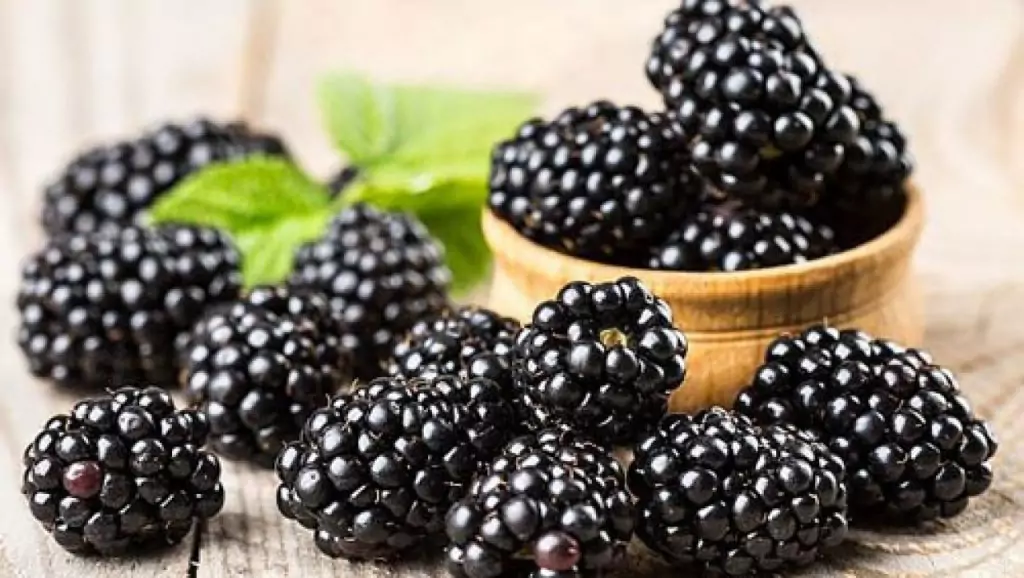 Къпините - източник на добро здраве Къпините - източник на добро здраве