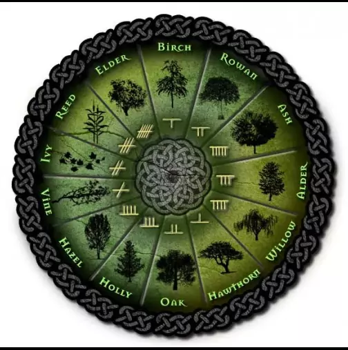 Според келтската астрология виж какво дърво си Според келтската астрология виж какво дърво си