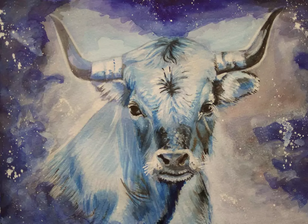 Характеристики на зодия Телец