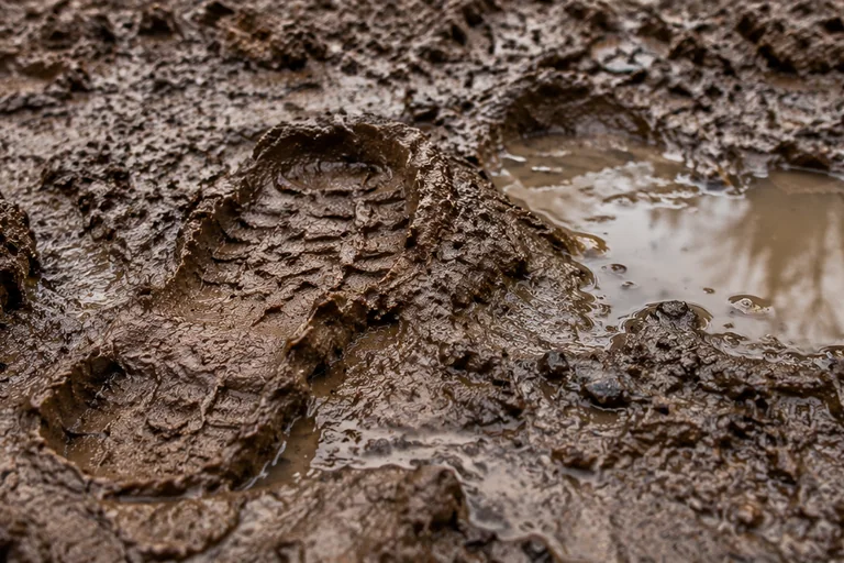 Тълкуване на сън за Кална вода