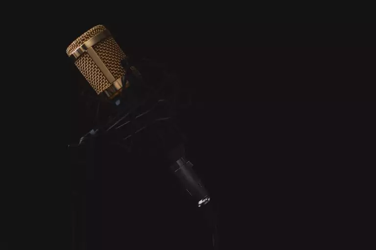 Тълкуване на сън за МИКРОФОН
