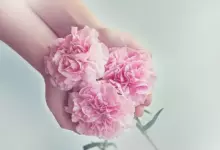 гадаене с цветя
