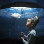 Принципите на мъдростта и разбирателството