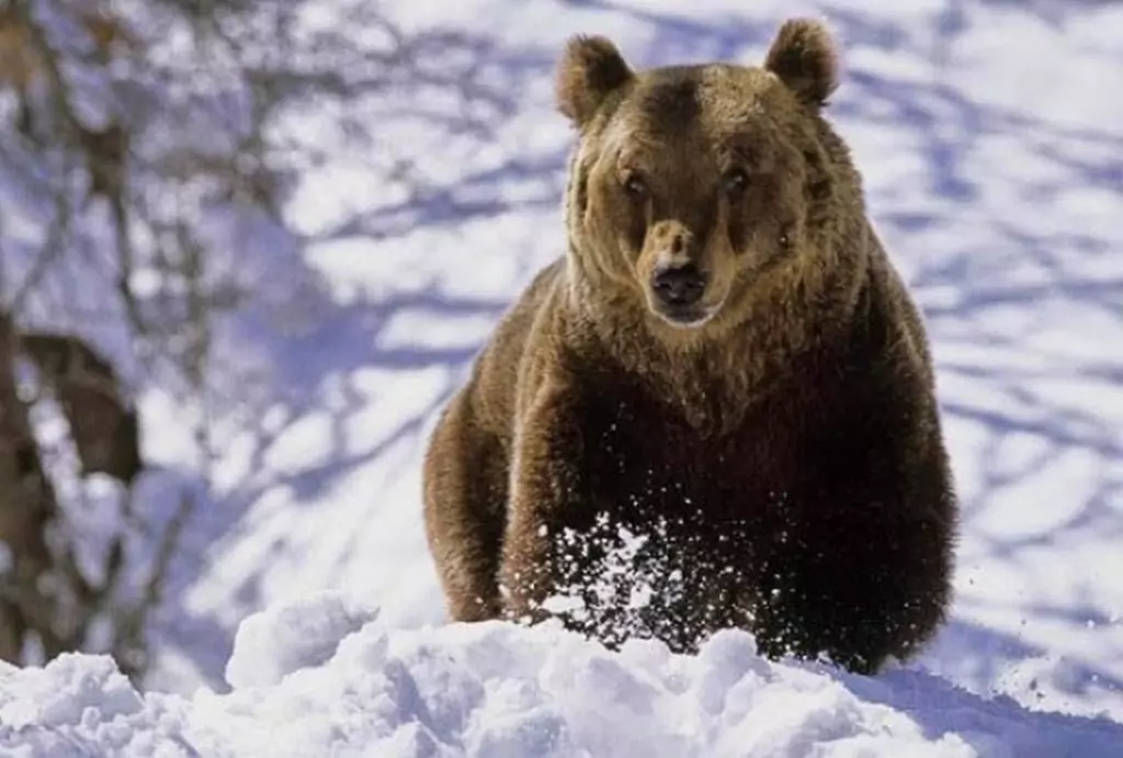 Поверия за Андреевден - 30 ноември