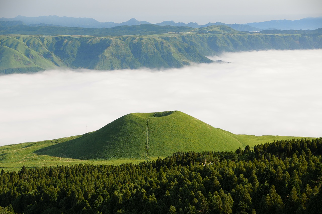 Съновник Ас