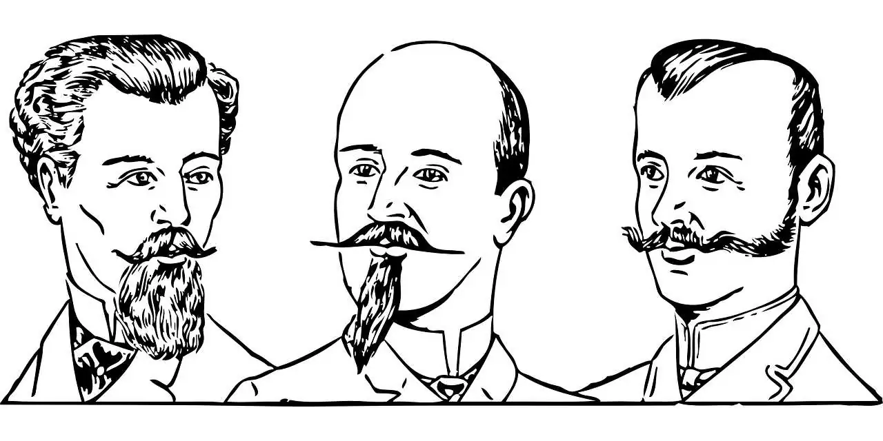 БРАДАТА ти Съновник БРАДАТА ти