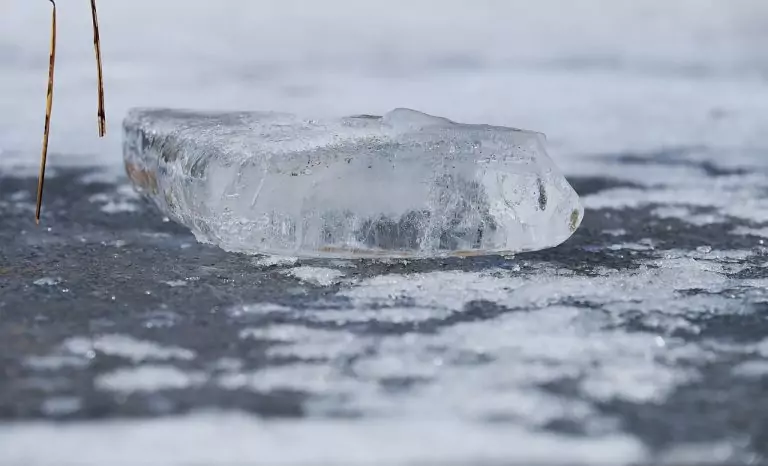 Тълкуване на сън за БУЦИ ПРЪСТ