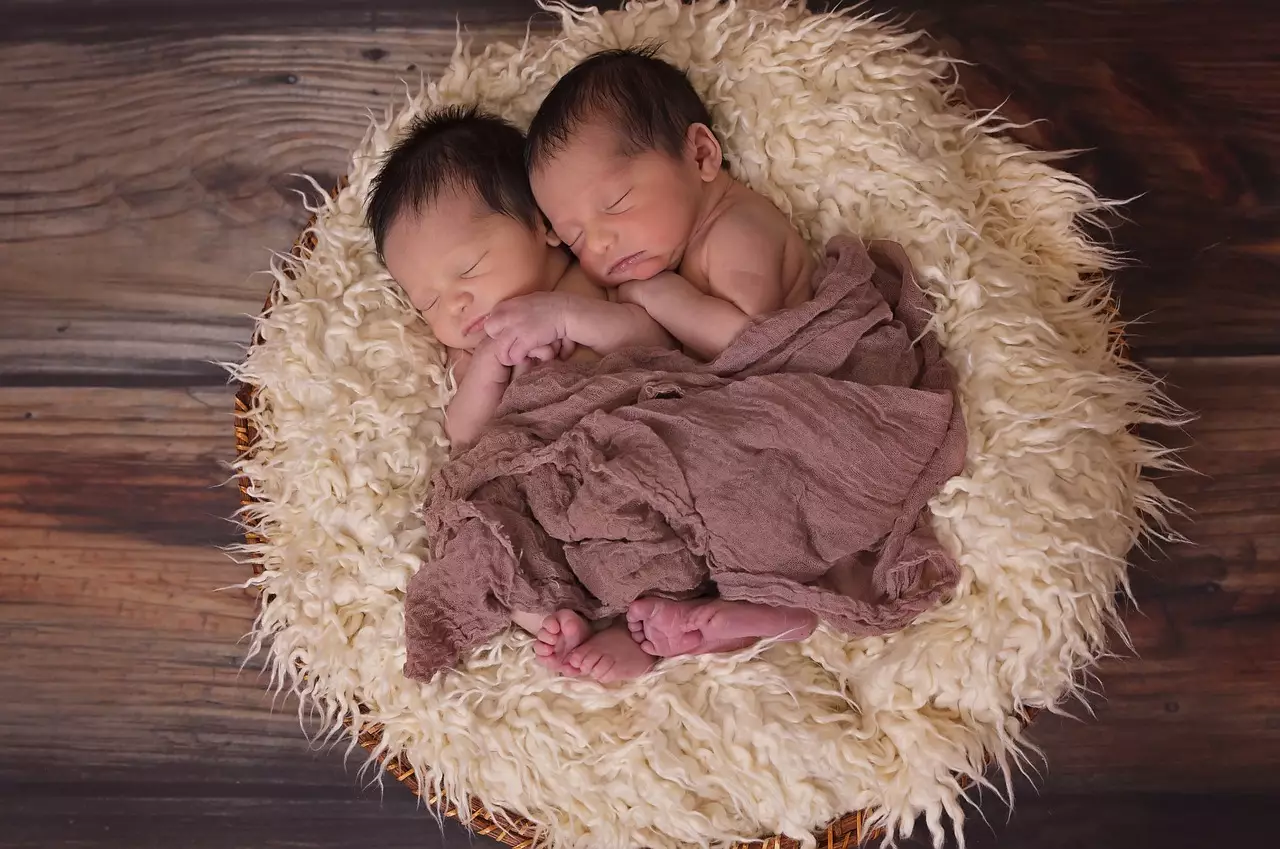 Съновник - близнаци, че се раждат