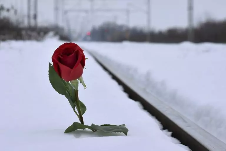 Тълкуване на сън за Болен, че си