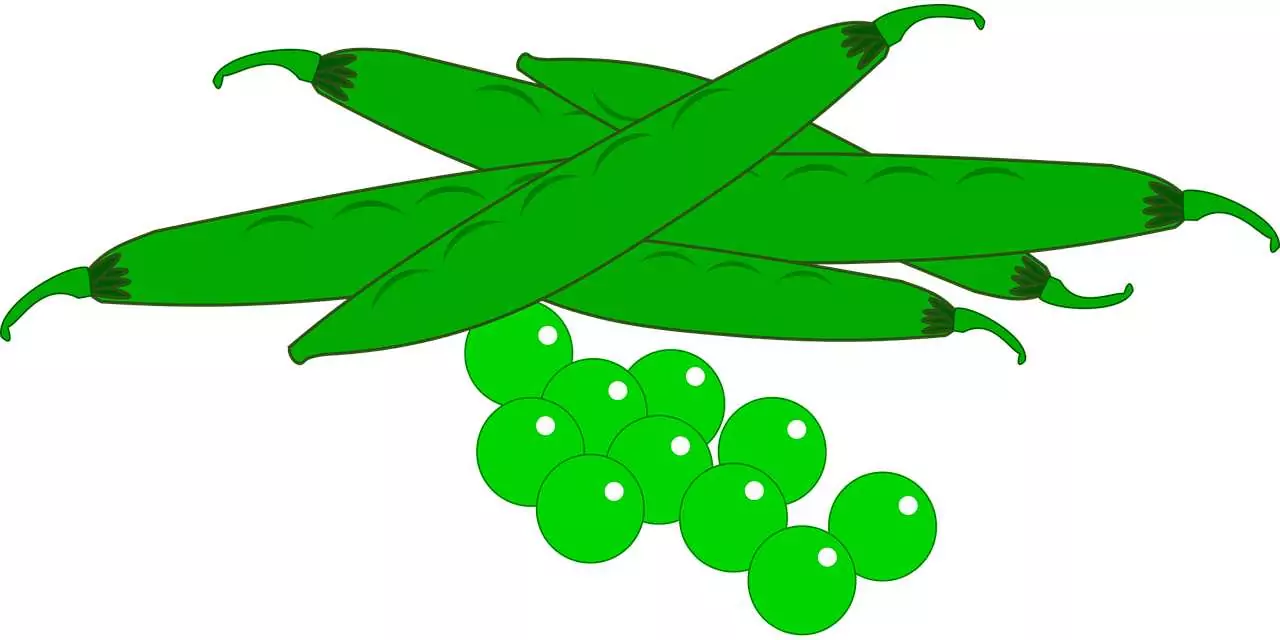 ВАГИНА (виж ВЕНЕРИЧЕСКИ БОЛЕСТИ, ПОЛОВИ ОРГАНИ, СЕКС) Съновник ВАГИНА (виж ВЕНЕРИЧЕСКИ БОЛЕСТИ, ПОЛОВИ ОРГАНИ, СЕКС)