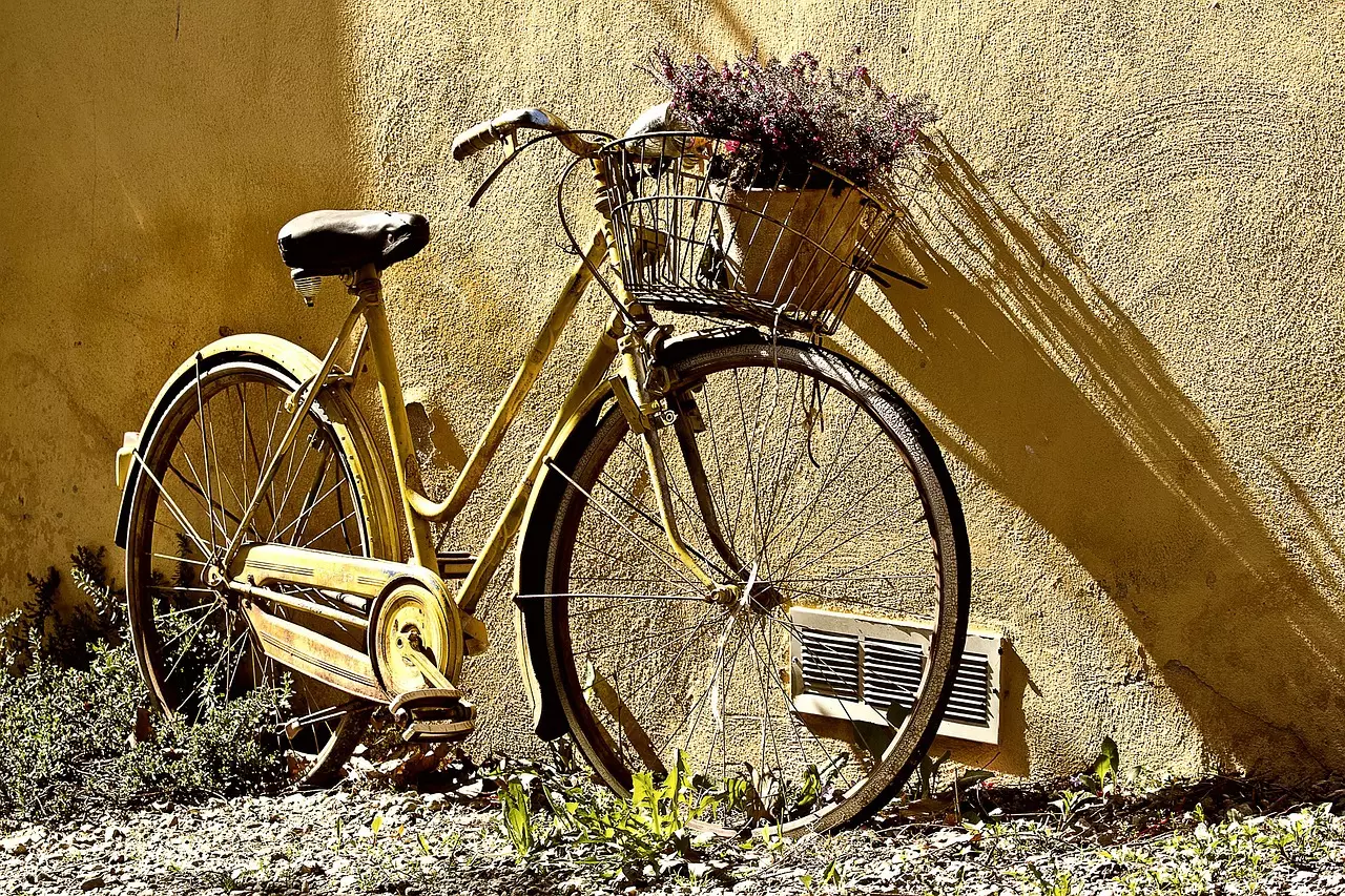 Съновник - велосипед